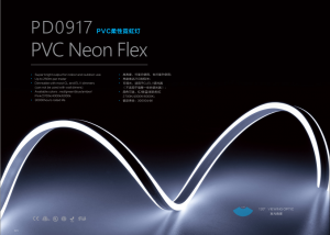 PD0917 PVC Neon Flex