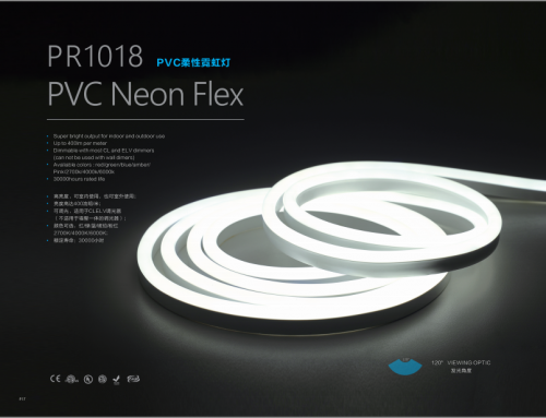 PR1018 PVC Neon Flex
